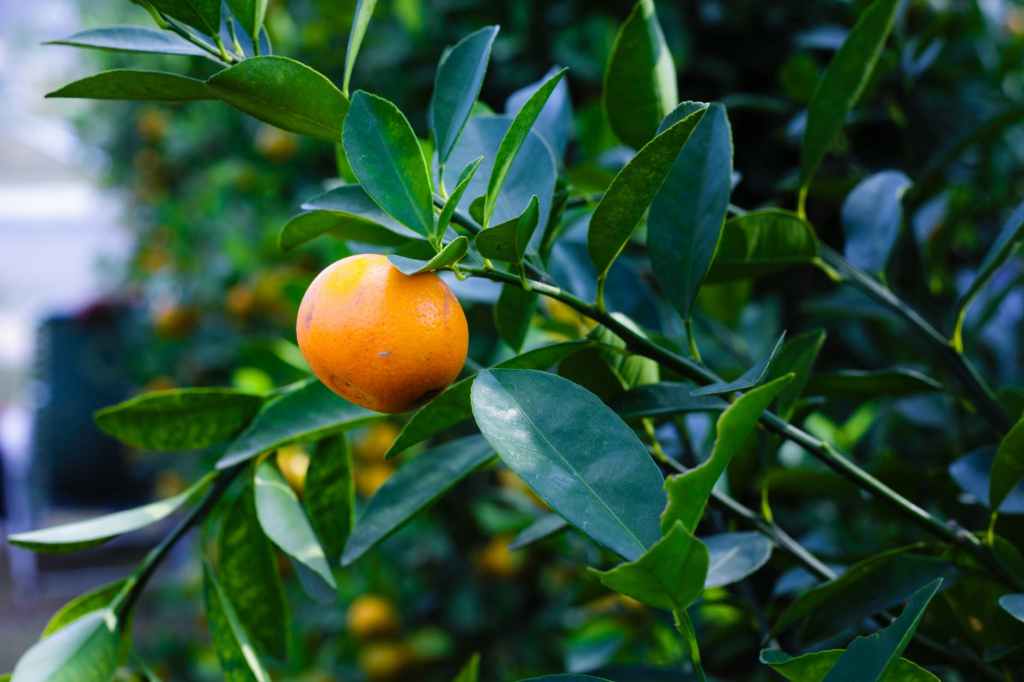 Marks of a Mature Christian-Part&nbsp;1