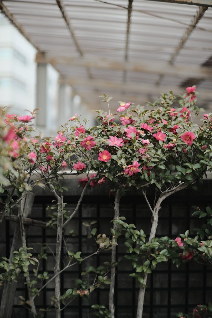 Discipleship: A Call for Every&nbsp;Believer