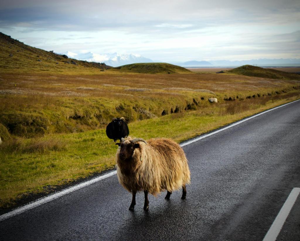 Preaching for Hire: The High Cost of Soft&nbsp;Pulpits